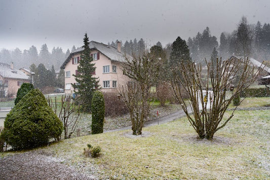 Comment protéger vos plantes du gel cet hiver ?