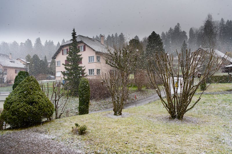 Comment protéger vos plantes du gel cet hiver ?