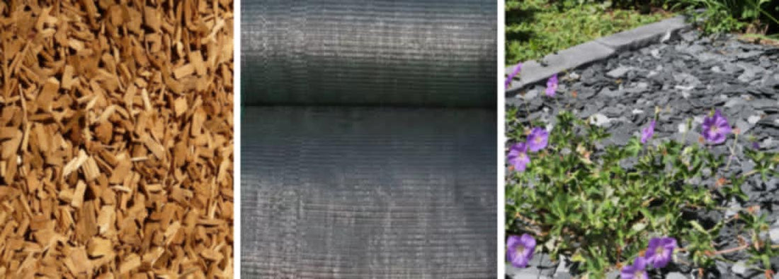 Pourquoi le paillage est indispensable dans votre jardin